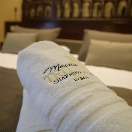 Gasthof Maison Tritone